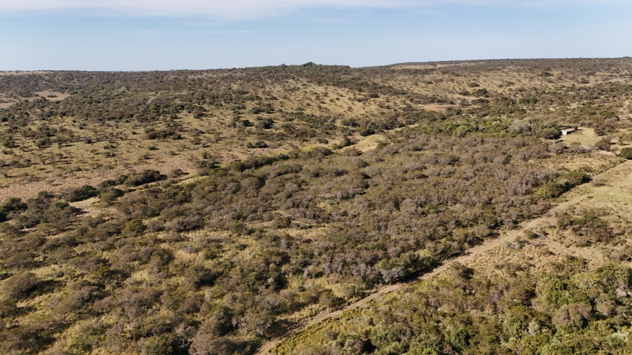Commercial Property for Sale in Kei Road Eastern Cape